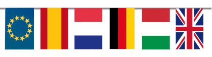 Bandera del mundo