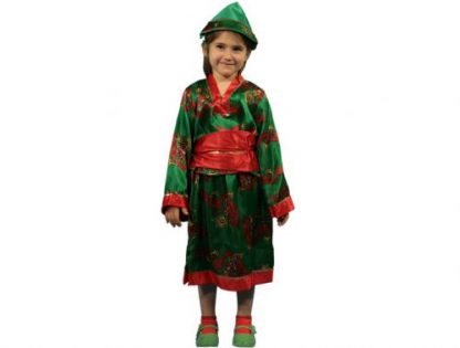 Disfraz China verde