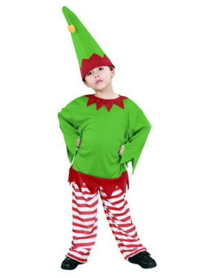 Disfraz Gnomo o Elfo niño