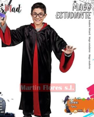 Disfraz mago Harry P
