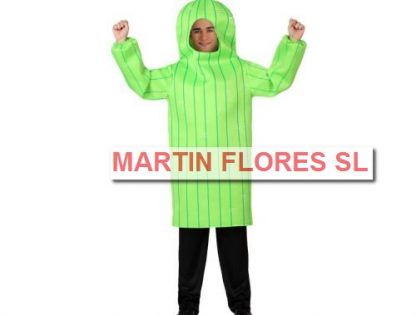 Disfraz Cactus
