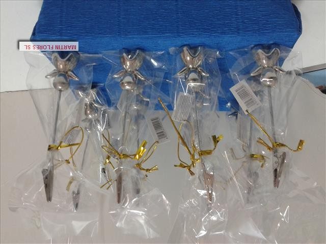 Pinza plateada niño