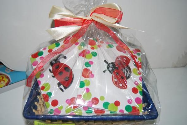 Canasta broches mariquita