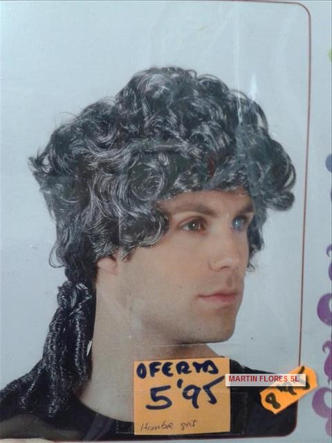 Peluca renacentista gris