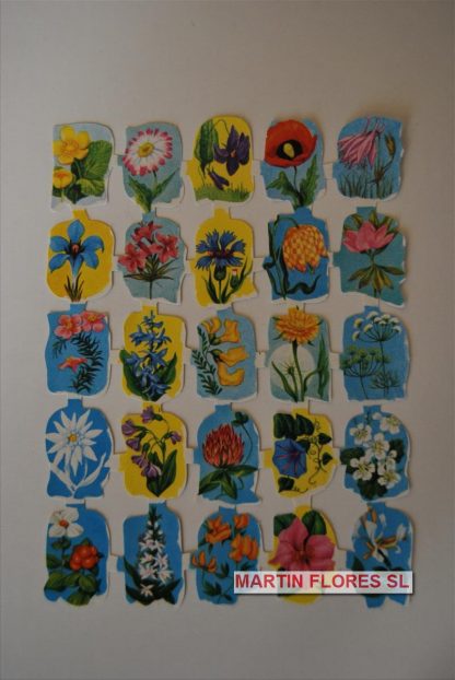 Cromos español pequeño florecitas