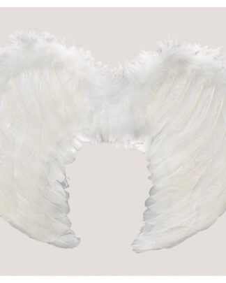Alas plumas blanca 40*36 cm