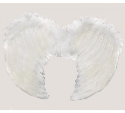 Alas plumas blanca 40*36 cm