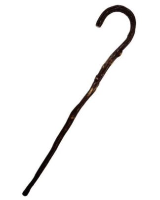Bastón madera árbol