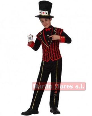 Disfraz mago sombrerero loco niño