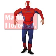 Disfraz super héroe hombre araña