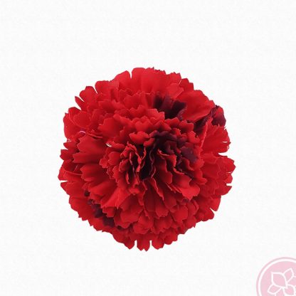 Flor clavel flamenco rojo