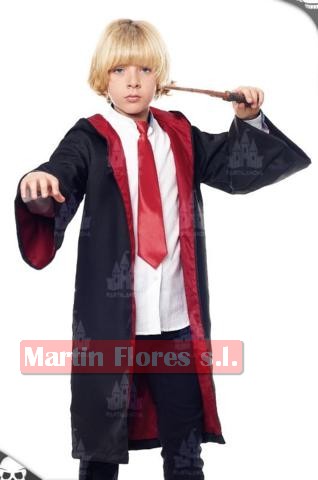 Disfraz mago escuela magia