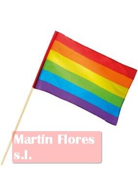 Bandera orgullo arco iris pequeña