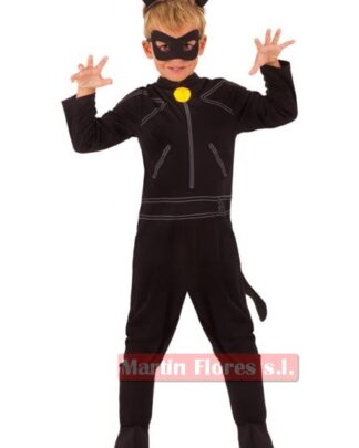 Disfraz Cat noir