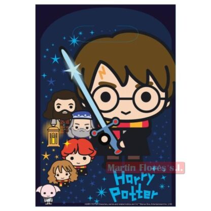 Bolsa asa Harry Potter 8u