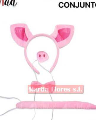 Conjunto cerdo rosa
